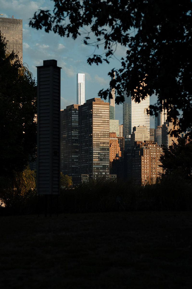 New York photography: Manhattan skyline seen through Central Park trees