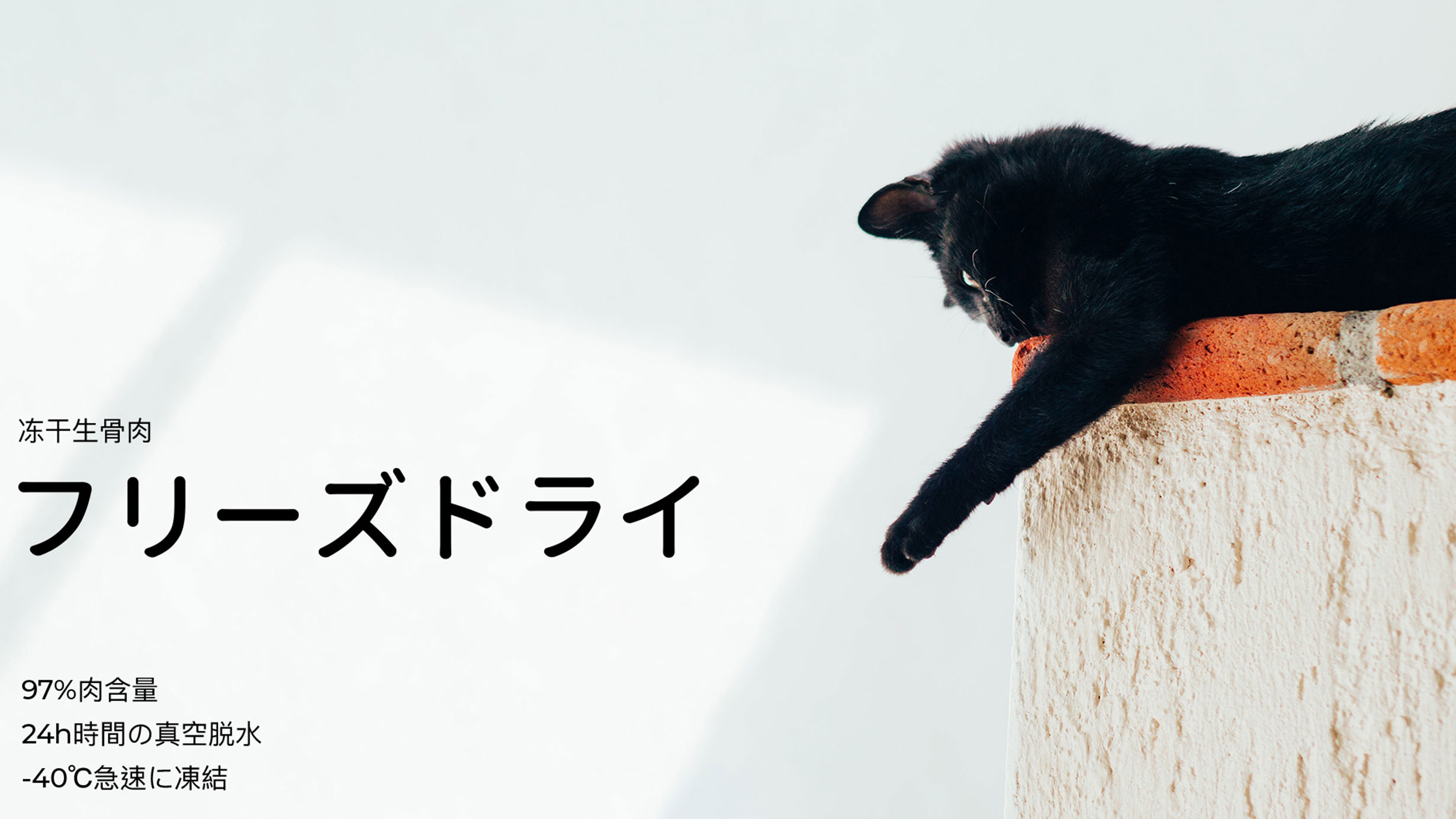 品牌形象系统设计