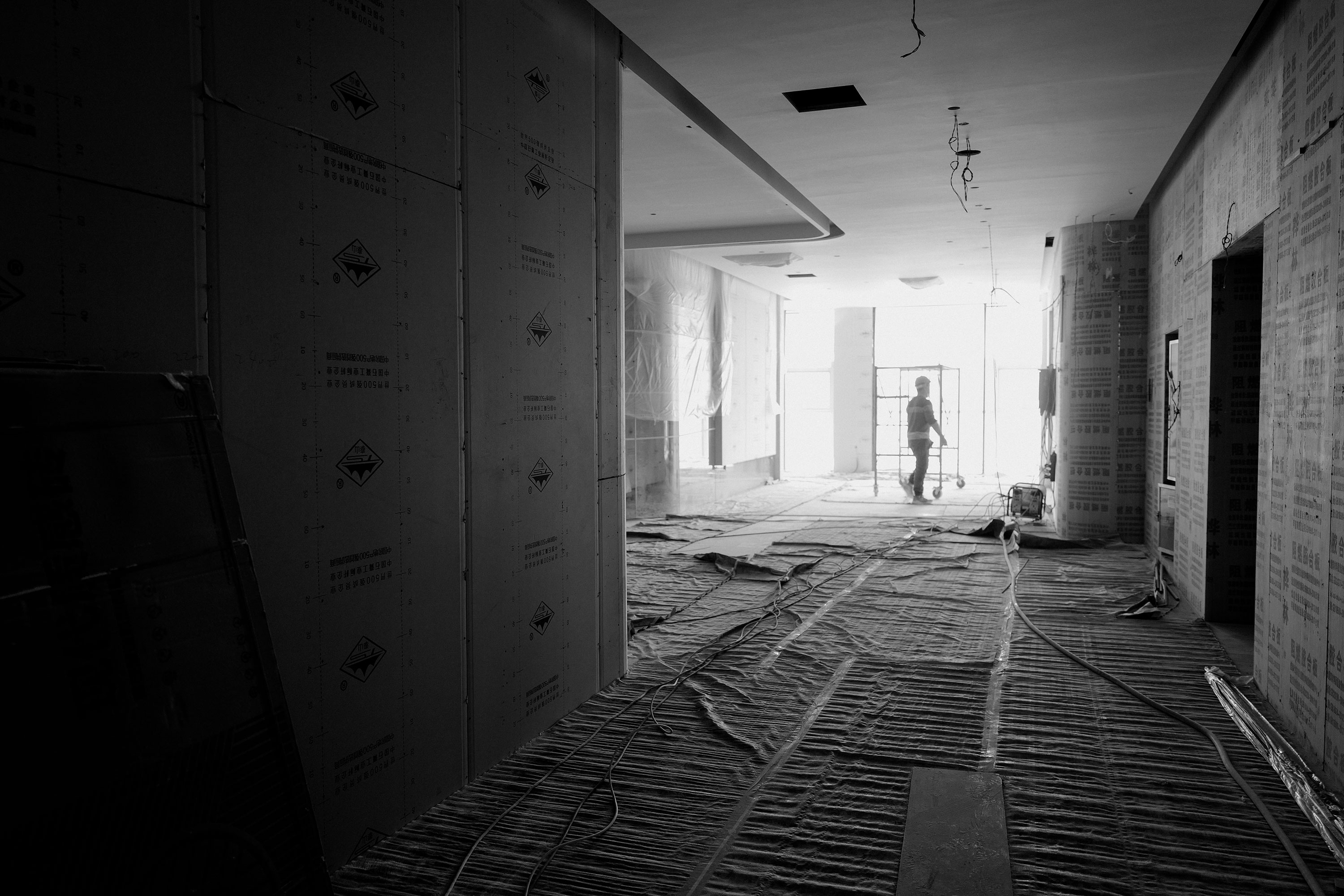 Vcanbio interior spaces beginning to read as one system