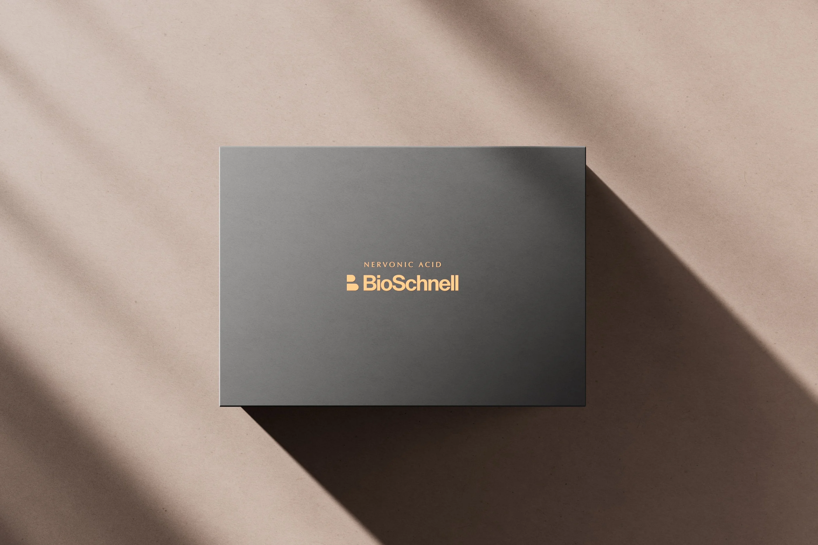 BioSchnell灰色产品礼盒封面的字标设计