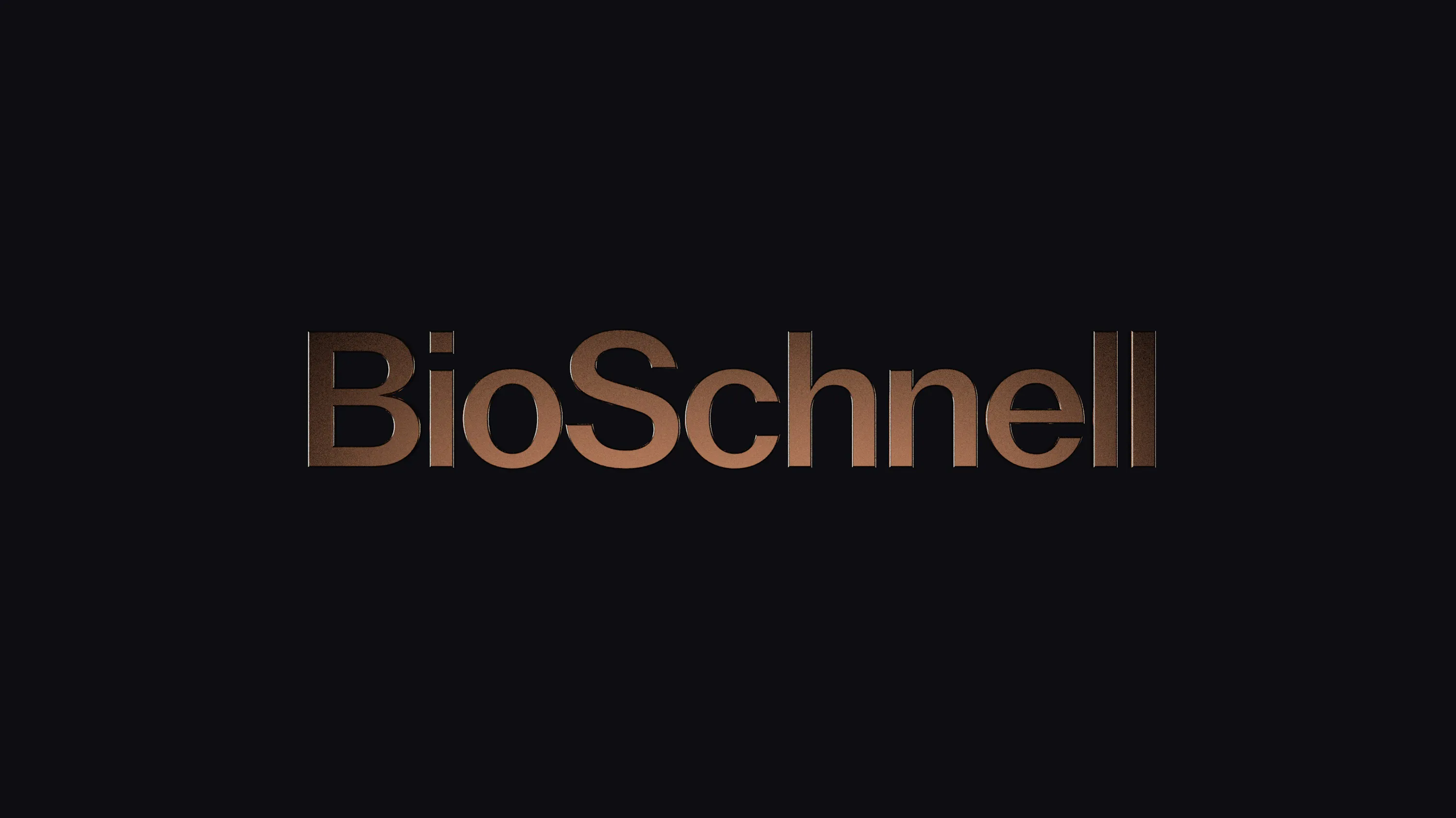 BioSchnell英文字标立体字的结构与细节