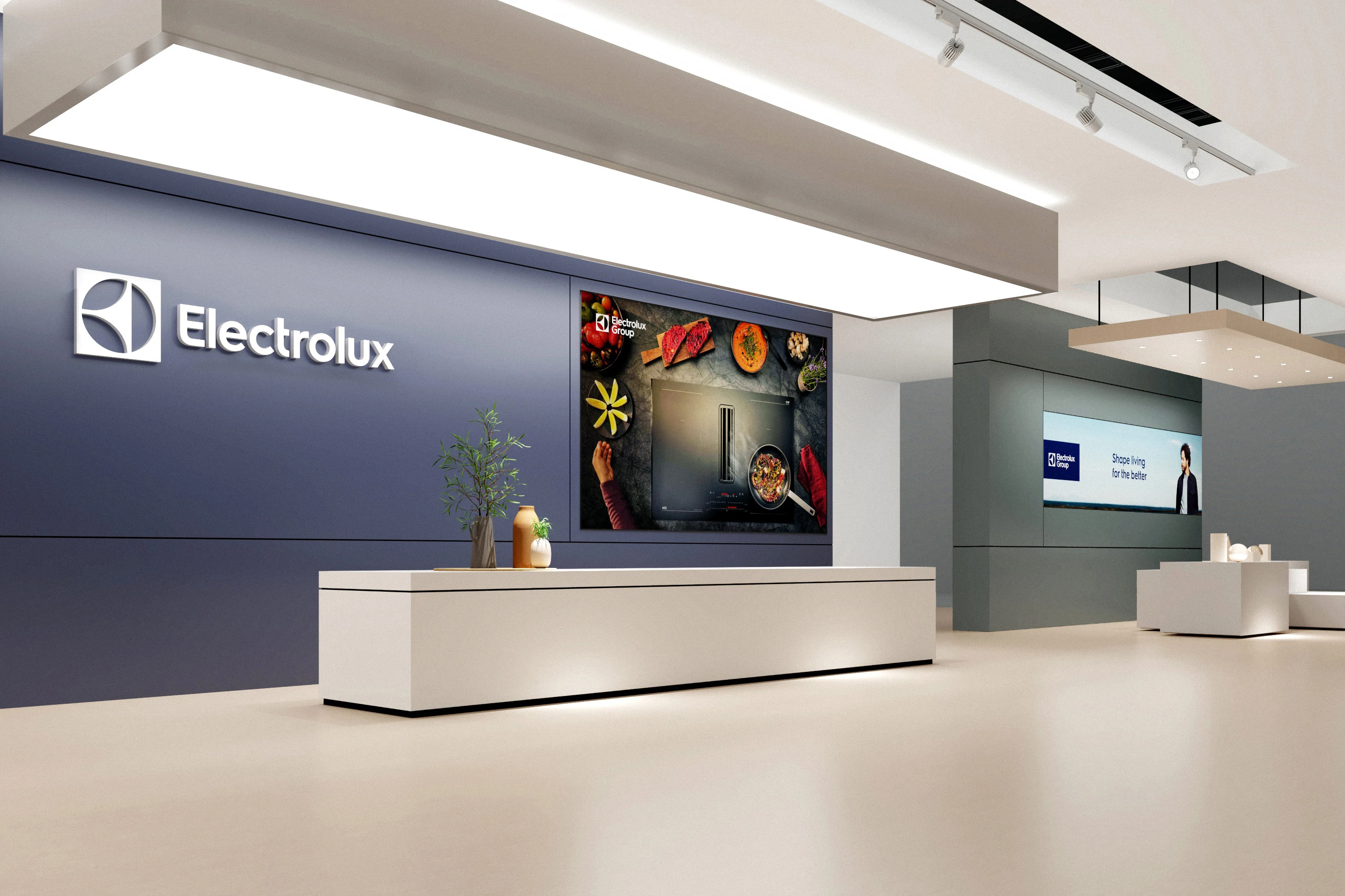 Electrolux HOTELEX展位现场视角