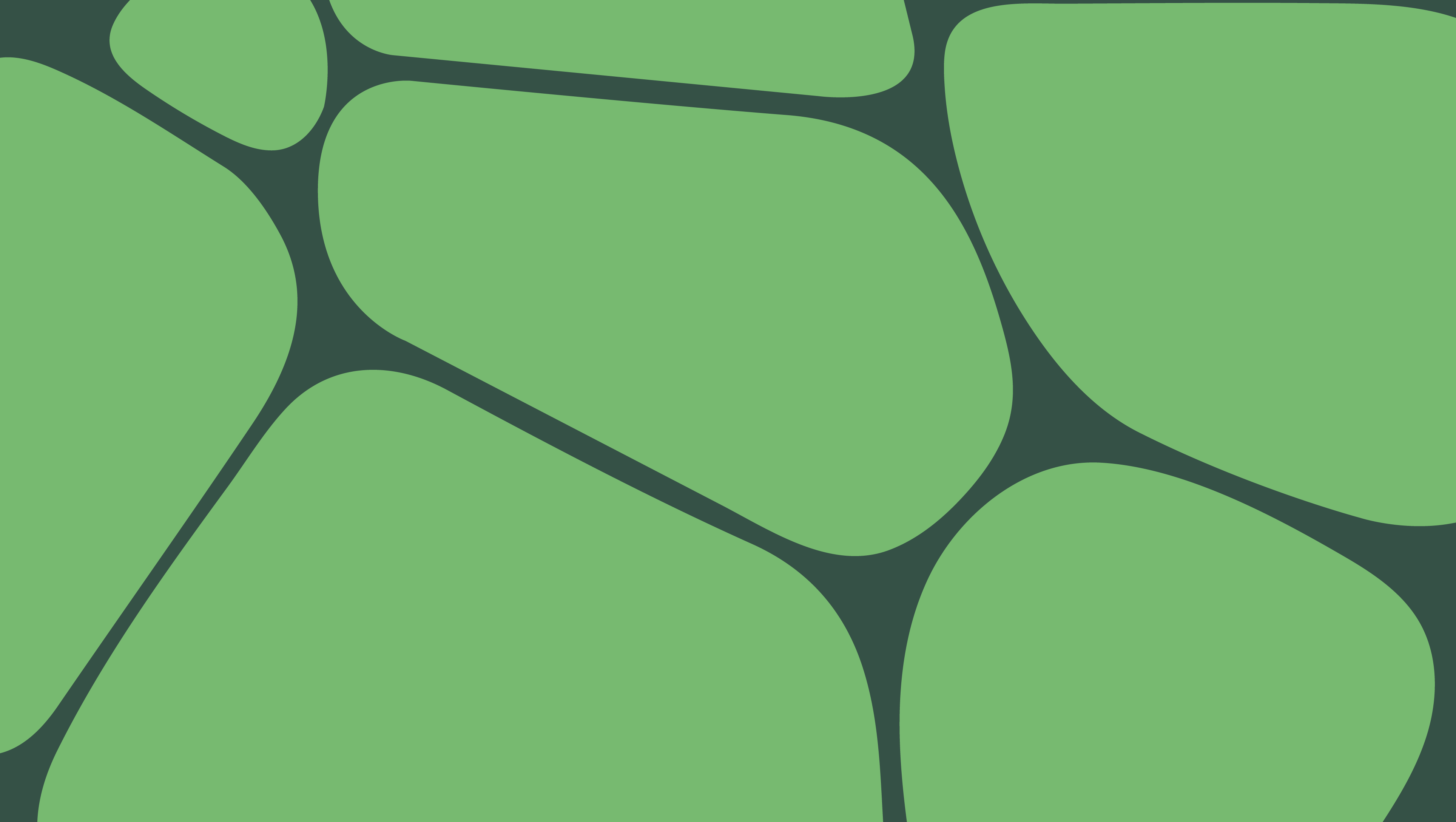 Fornia品牌视觉形象