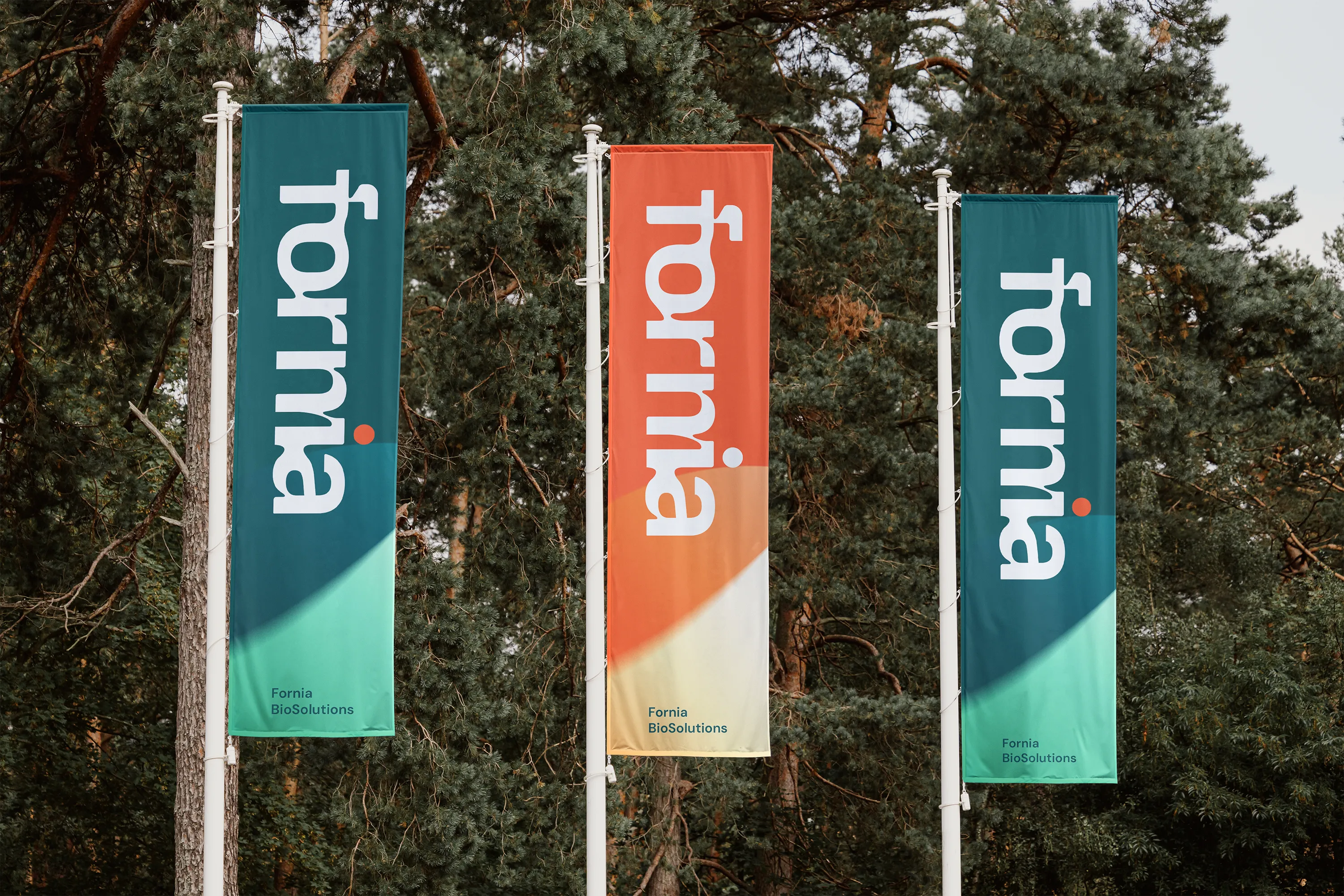 Fornia品牌色彩设计