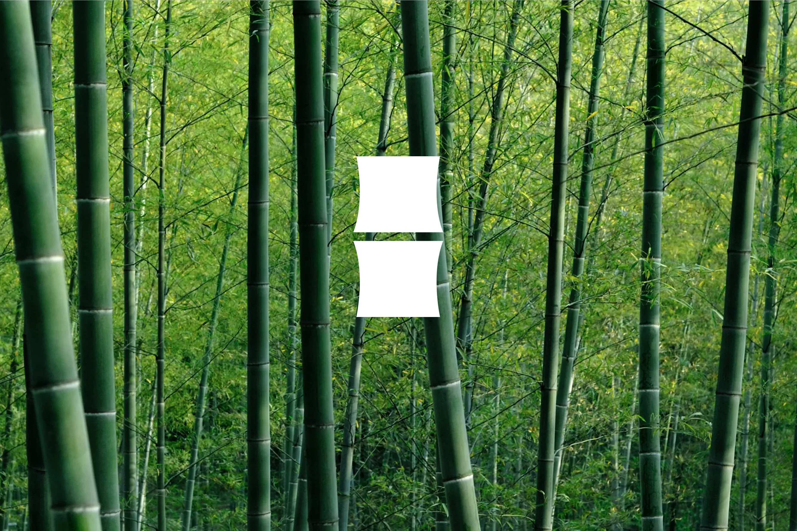普洱茶品牌全案设计